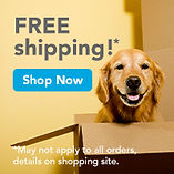 Button displaying dog in box that links to discount prescriptions