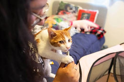 z headshot new crop.jpg