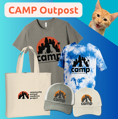 CAMP shop image to purchase swag