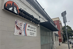 z headshot new crop.jpg