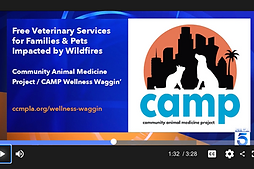 z headshot new crop.jpg