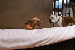 z headshot new crop.jpg